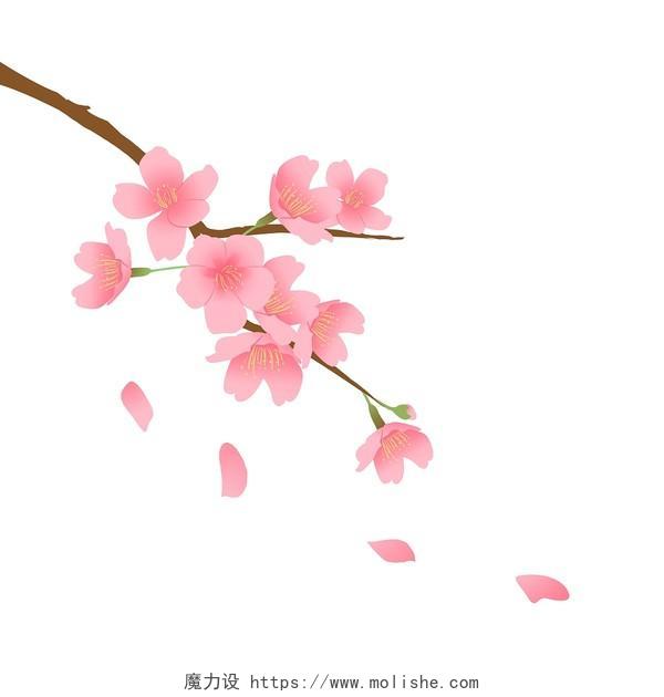 卡通手绘樱花桃花带树枝原创小素材花花瓣